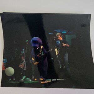 Phil Lesh Barney Grateful Dead Concert Photo Vintage 1990s Dead Images Rob Cohn